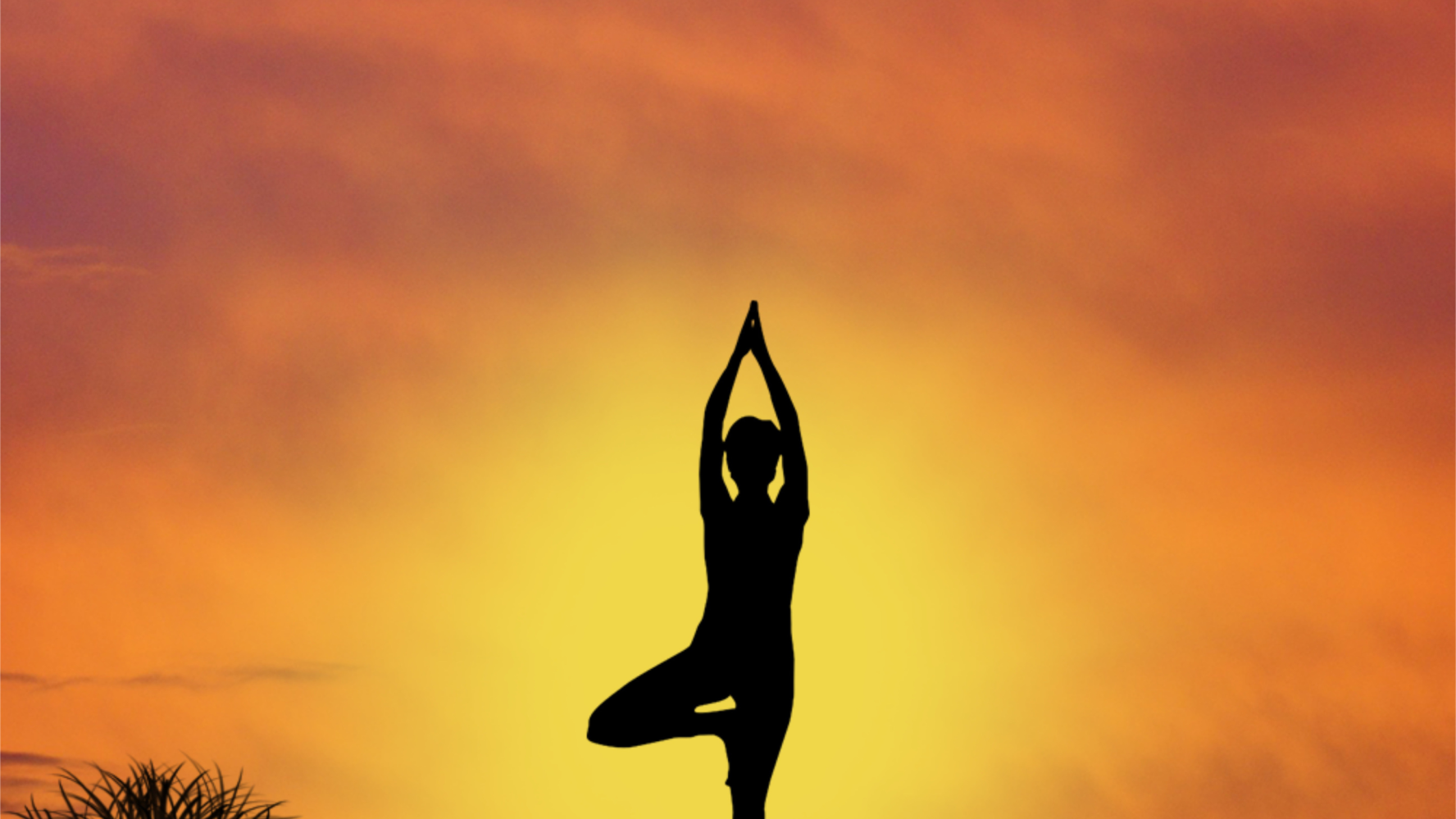 a bird flying in front of a sunset