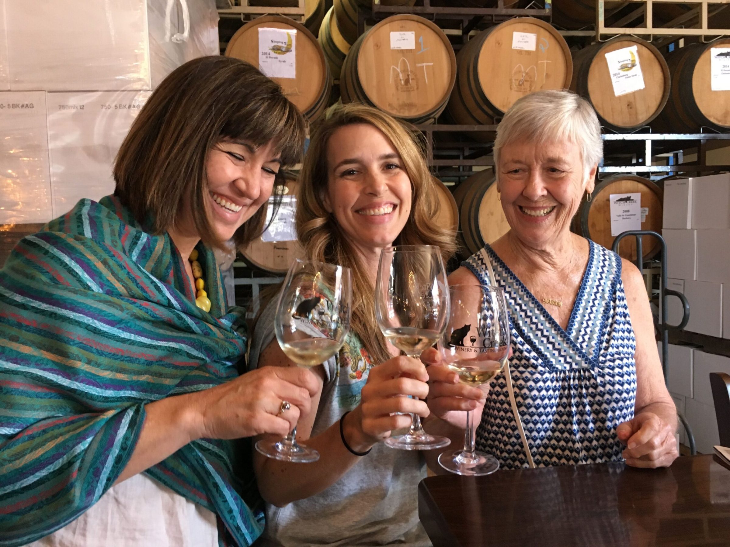 a group of people holding wine glasses