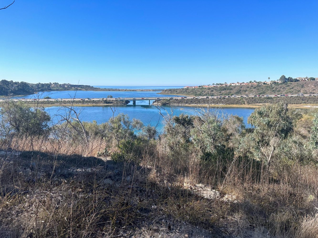 Batiquitos lagoon